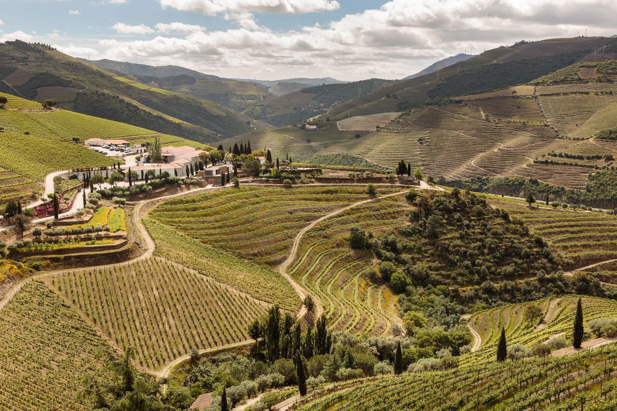 Quinta Nova Winery House - Relais & Chateaux Pinhao Luaran gambar